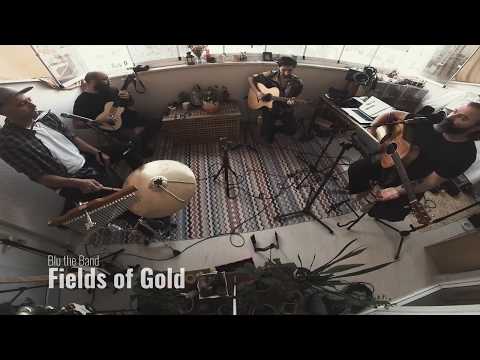 Fields of Gold-Sting Cover by Blucoustic #blutheband #blucoustic #sting #cover #balkonsessions