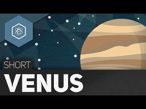 Die Venus - #TheSimpleShort