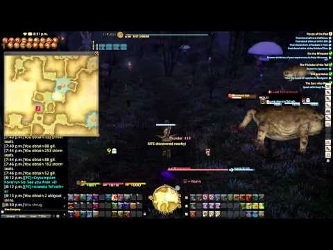 Final Fantasy XIV - Bard Artifact Armor (45 Quest)