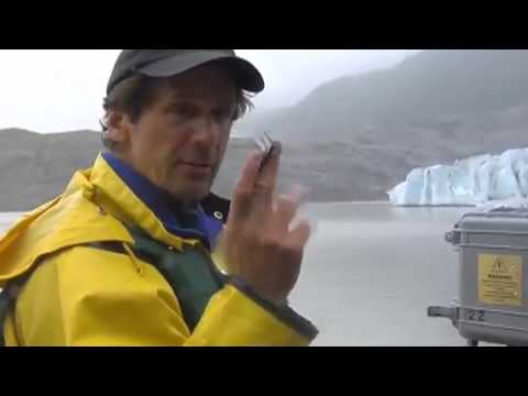 'CHASING ICE' - 32nd Cambridge Film Festival [HD Trailer]