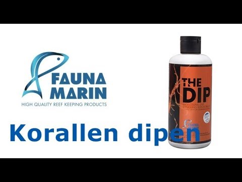 FaunaMarin: THE DIP - Bathing solution for corals