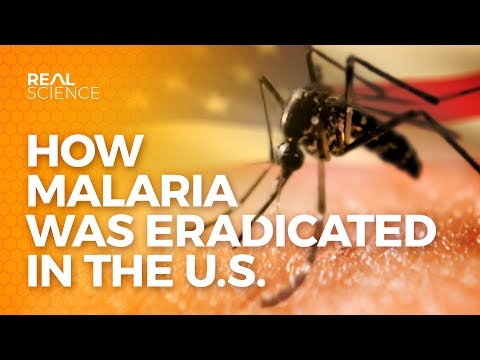 How Malaria Was Eradicated In The U.S.