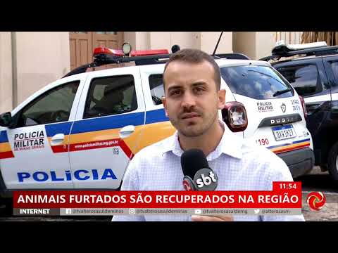 PM recupera animais em Fortaleza de Minas