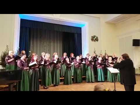 Ziemassvētku zvaigzne (Christmas Star)