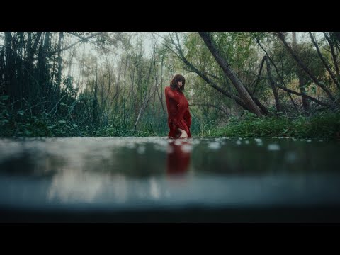 Alé Araya - treetops (Official Music Video)
