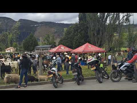   9.152 ÍZA BOYACÁ  EN SU FERIA COMERCIAL GANADERA 27 DE AGOSTO 2.026 
