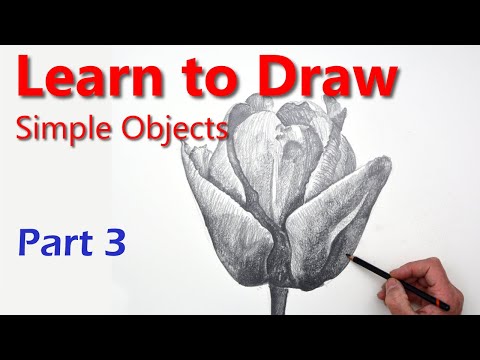 Learn How to Draw a Tulip easily Simple Drawing Techniques