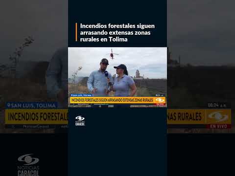 Incendios forestales arrasan bosques y cultivos en Tolima: así está la zona rural