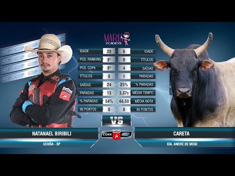 Rodeio de Palmital 2019 - TOUROS / QUINTA FEIRA