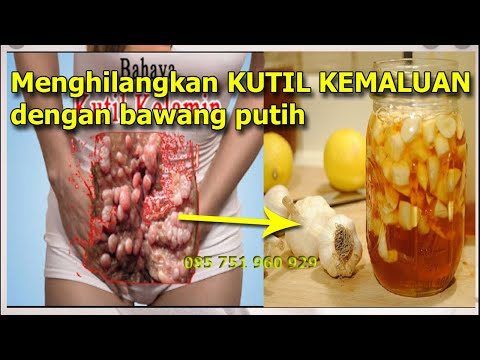Semua tentang palu persiapan Thor Potensi akar peterseli