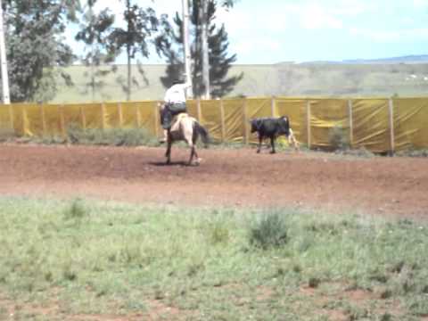 Rodeio Arpine Erechim-rs.MOV