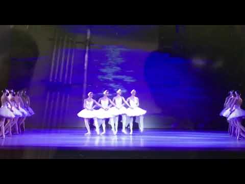 Guastaferro Arianna - Cignetti