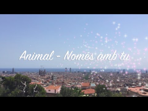 Animal - Només amb tu amb lletra
