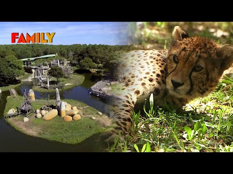 Zoo : ce que les visiteurs ne voient jamais