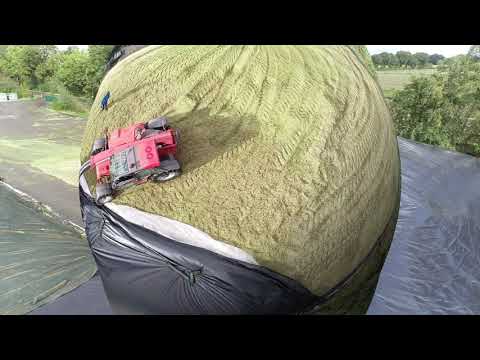 Tag 3 der Maisernte 2019