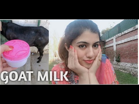 Benefits of using GOAT MILK on face || Homemade remedy || INSTANT results on skin ????