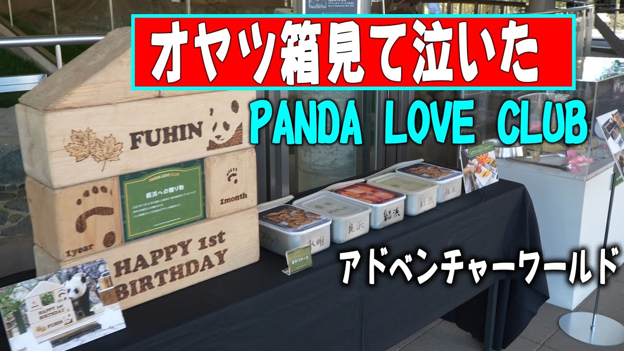 【オヤツ箱見たら号泣】PANDA LOVE CLUB 新しい試み アドベンチャーワールド