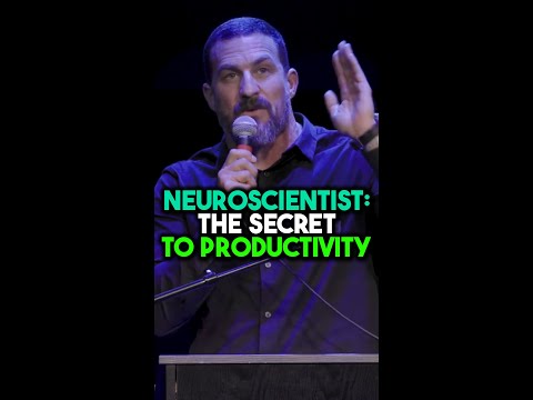 Neuroscientist: The Secret To Being Productive | Andrew Huberman #hubermanlab #shorts