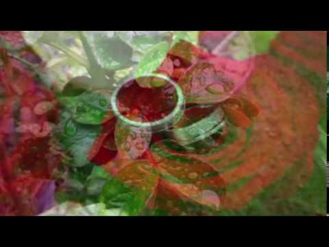 University of Bologna