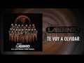 Laberinto- Te Voy A Olvidar- [Audio Oficial]