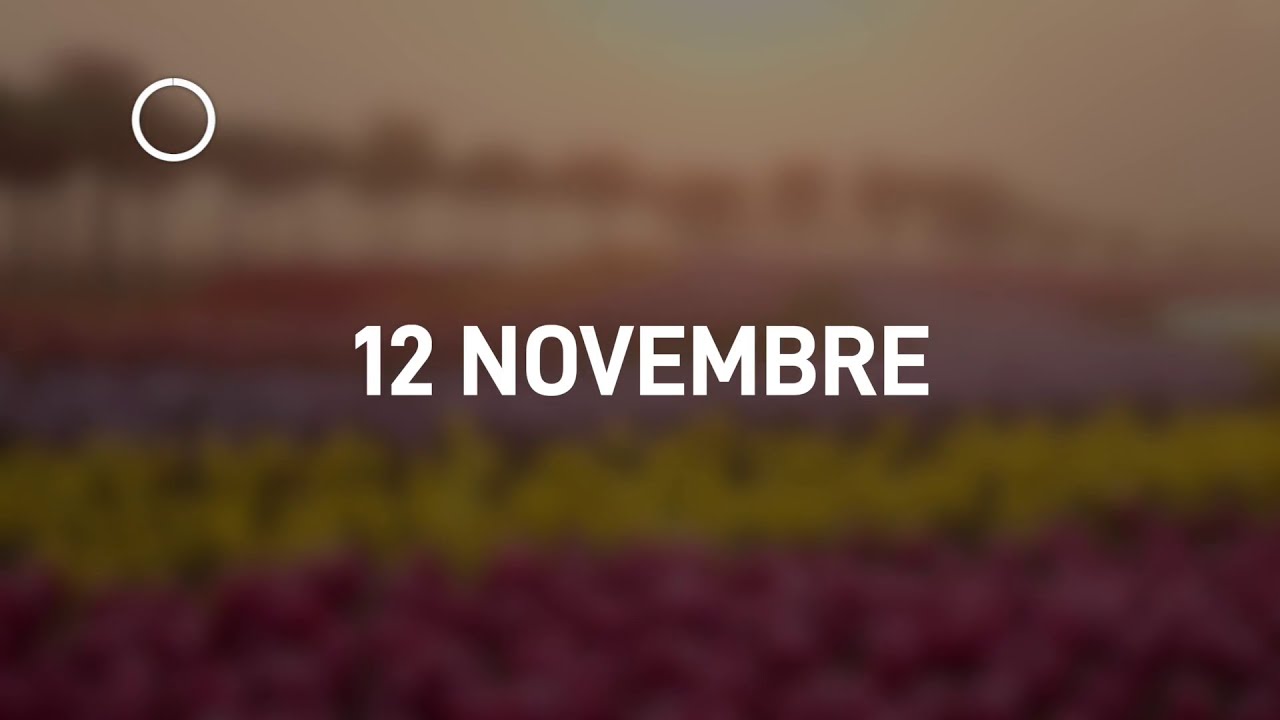 12 Novembre 2024 | Meditazione Parole di Vita