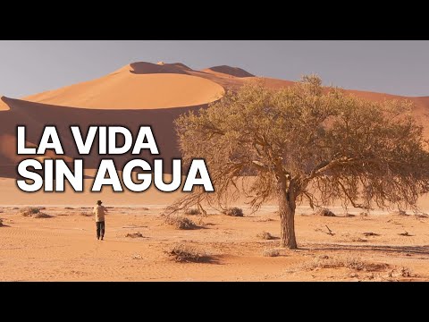 La Vida sin Agua | Sobrevivir sin Agua
