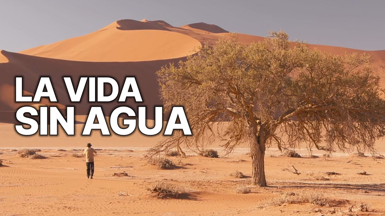 La Vida sin Agua | Sobrevivir sin Agua
