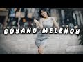 Goyang Melehoy Devana Labaica Slowed Reverb