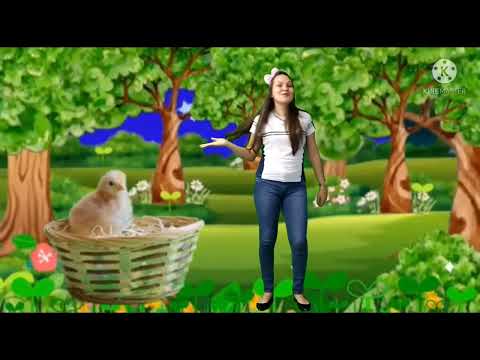Quem ama os animais 🐥🐒🐄🐎 | musicalização 🎶