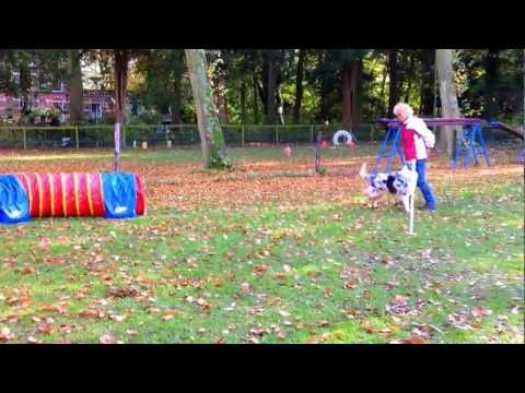 Lesson 1 tunnel and wraps with Rooster 28-10-2012