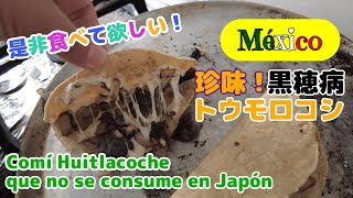 【メキシコの珍味】日本では食べない黒穂菌にかかったトウモロコシ-Comí Huitlacoche que no se consume en Japón