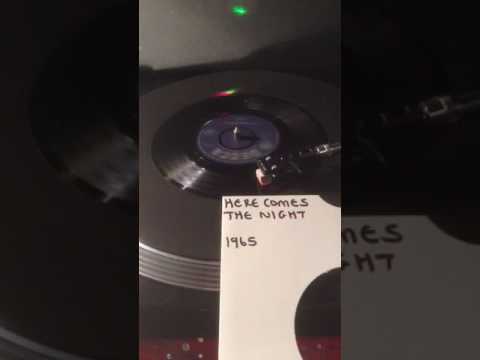 Them - Here Comes The Night From 1965 ( Vinyl)