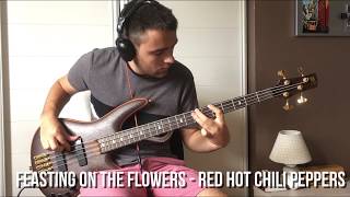 Feasting on the Flowers - Red Hot Chili Peppers [Bass Cover]