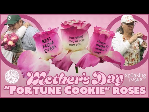 #JFTV Mother's Day "Fortune Cookie" (Hidden Message) Roses with Casey & Mama Black