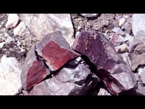 The Black Butte Mine in Cottage Grove, OR