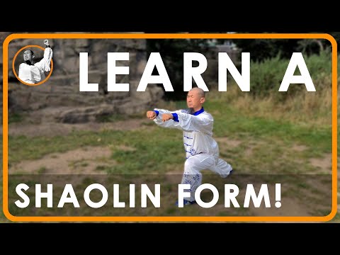 Beginners Shaolin Kung Fu Form Tutorial - Part 1 | 八步连环拳