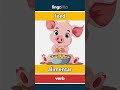 feed - alimentar video thumbnail