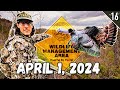 Turkey Tour Day 16 South Carolina PUBLIC LAND Opening Day Turkey Hunt