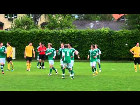 Dreamgoal U17 SV Wals-Grünau