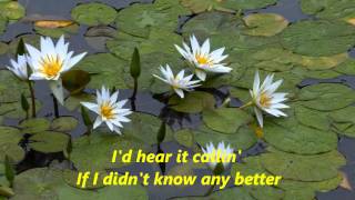 Alison Krauss - If  I Didn&#39;t Know Any Better +lyrics,二子坪 720P HD