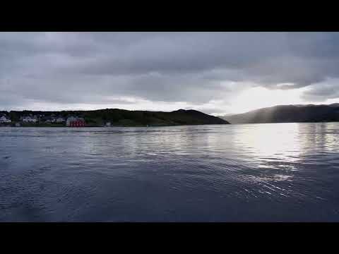 Saltstraumen Brygge 2020