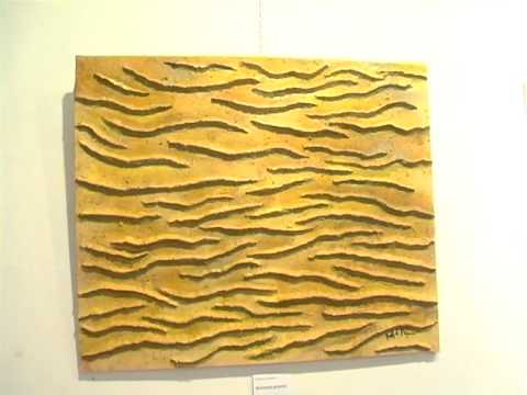 ONDA TG 20.08.2014 - MOSTRA PIERFRANCO D'APRILE