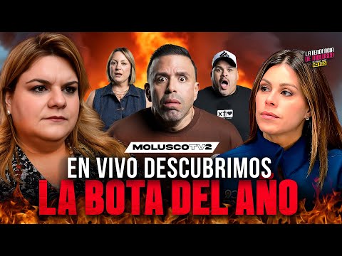 Gobernadora Despide La Secretaria Del DACO, aquí las razones / La Tendencia  Molusco