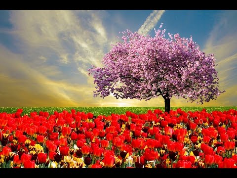 Herr über Raum und Zeit - Uwe Sauer