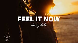 sleepy dude - Feel It Now (Lyrics)