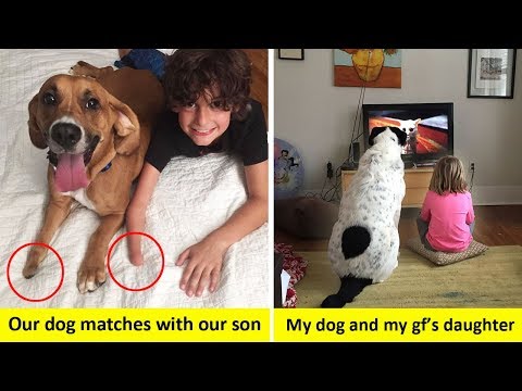 Wholesome Pictures That Show How Dogs Make Kids Life Better Video