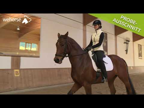 Seitengänge richtig reiten: Schenkelweichen und Schulterherein | Anja Beran