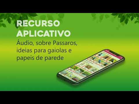 Canto Do Azulao Completo
