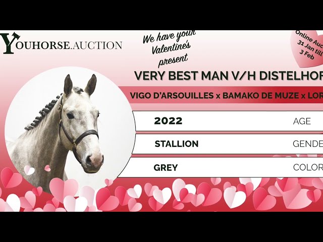 Very Best Man VH Distelhof Z