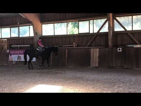 Faunus 07.2020 vor Abholung bei Nicole Hofmann Video 16 - IMG 1324